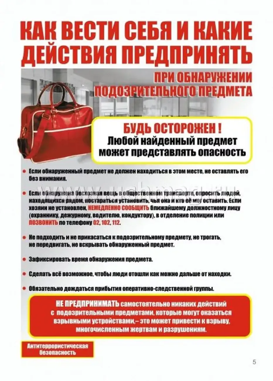 как вести себя и какие действия предпринять
